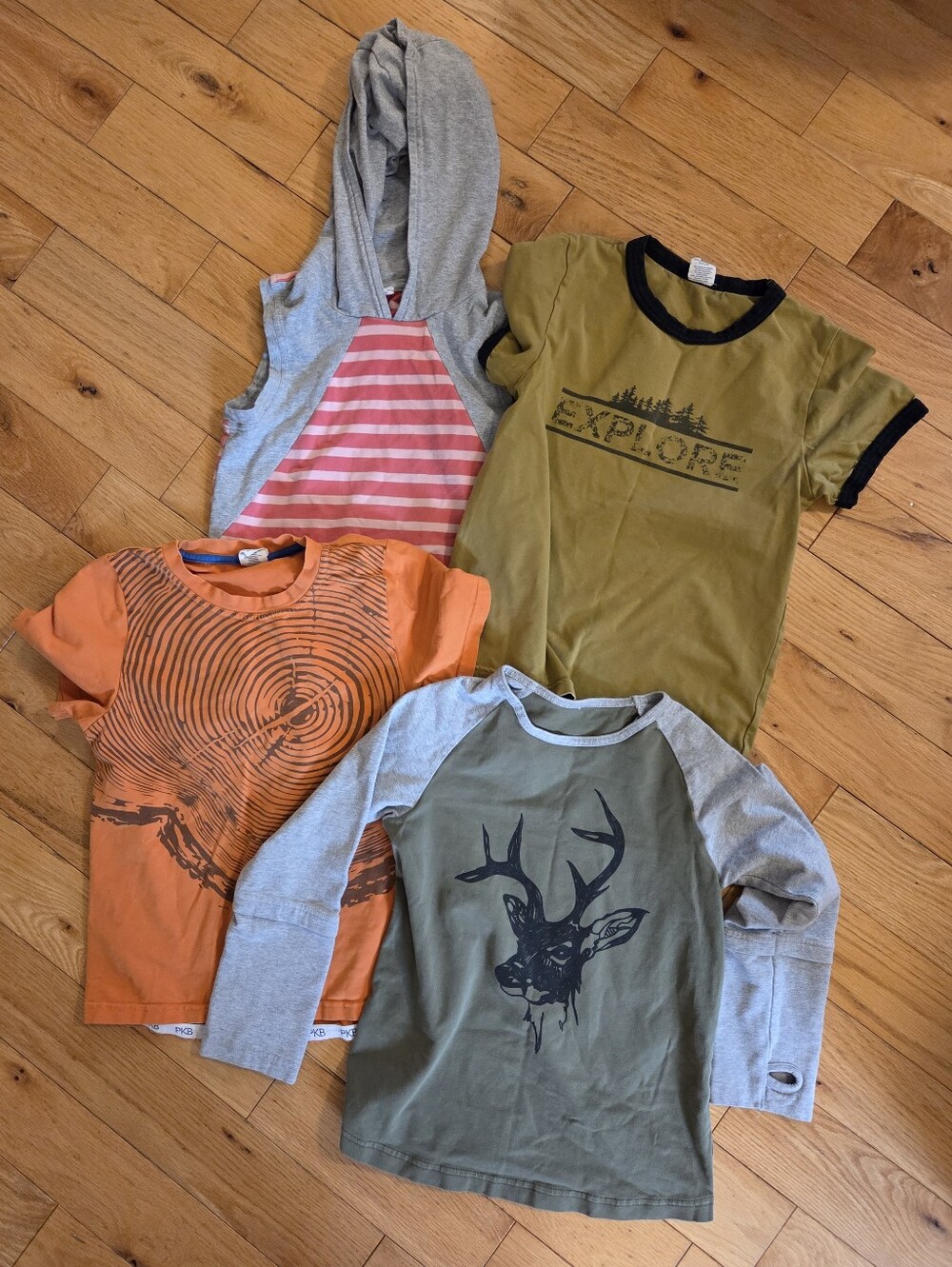Peekaboo Beans Size 7 Boys Tops